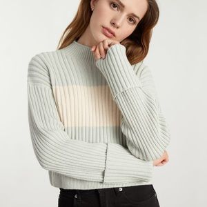 Everlane Cotton Ribbed Rollneck sweater